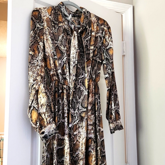 Zara Dress - Picture 3 of 6